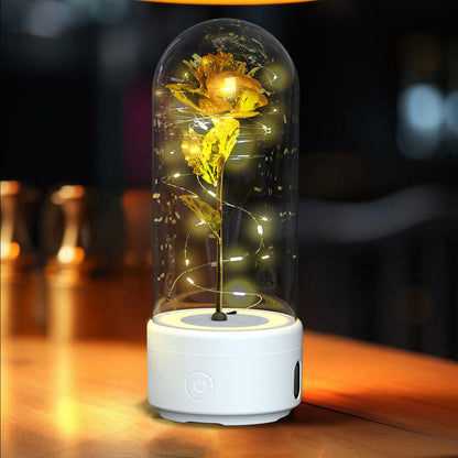 Rose Flowers LED Light Ornament In Glass Cover with Speaker